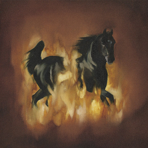 the album cover for The Besnard Lakes - The Besnard Lakes Are The Dark Horse
