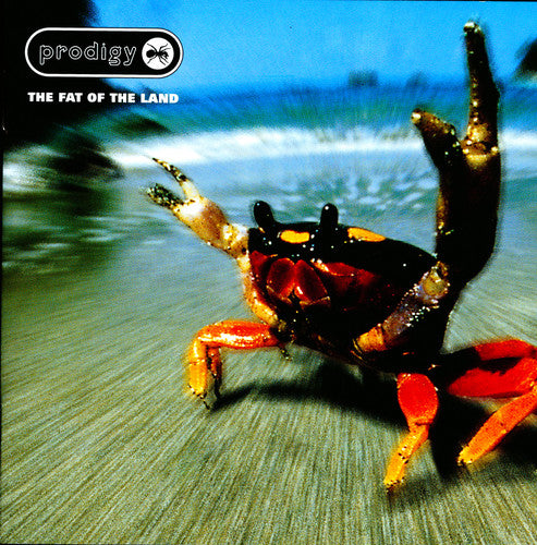The Prodigy - Fat of the Land LP