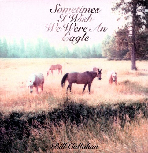 the album cover for Bill Callahan - Sometimes I Wish We Were An Eagle [Import]