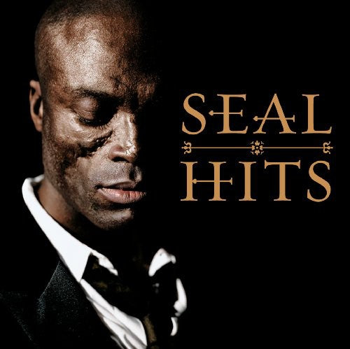 the album cover for Seal - Hits