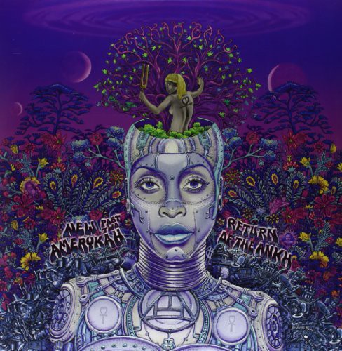 Erykah Badu - New Amerykah Part Two: Return of the Ankh LP (2-Disc Vinyl)