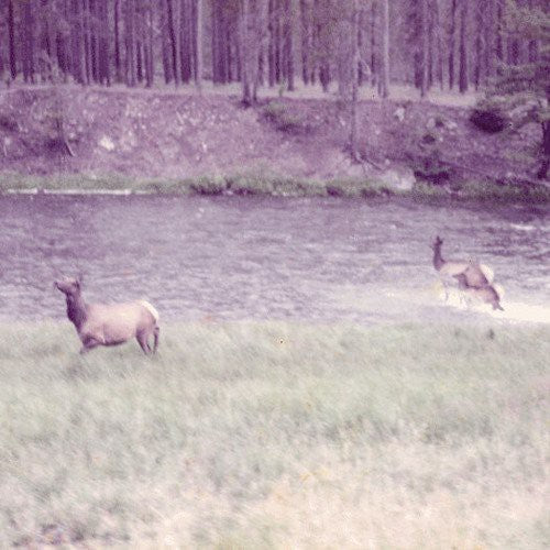 the album cover for Seahaven - Ghost + Acoustic Sessions