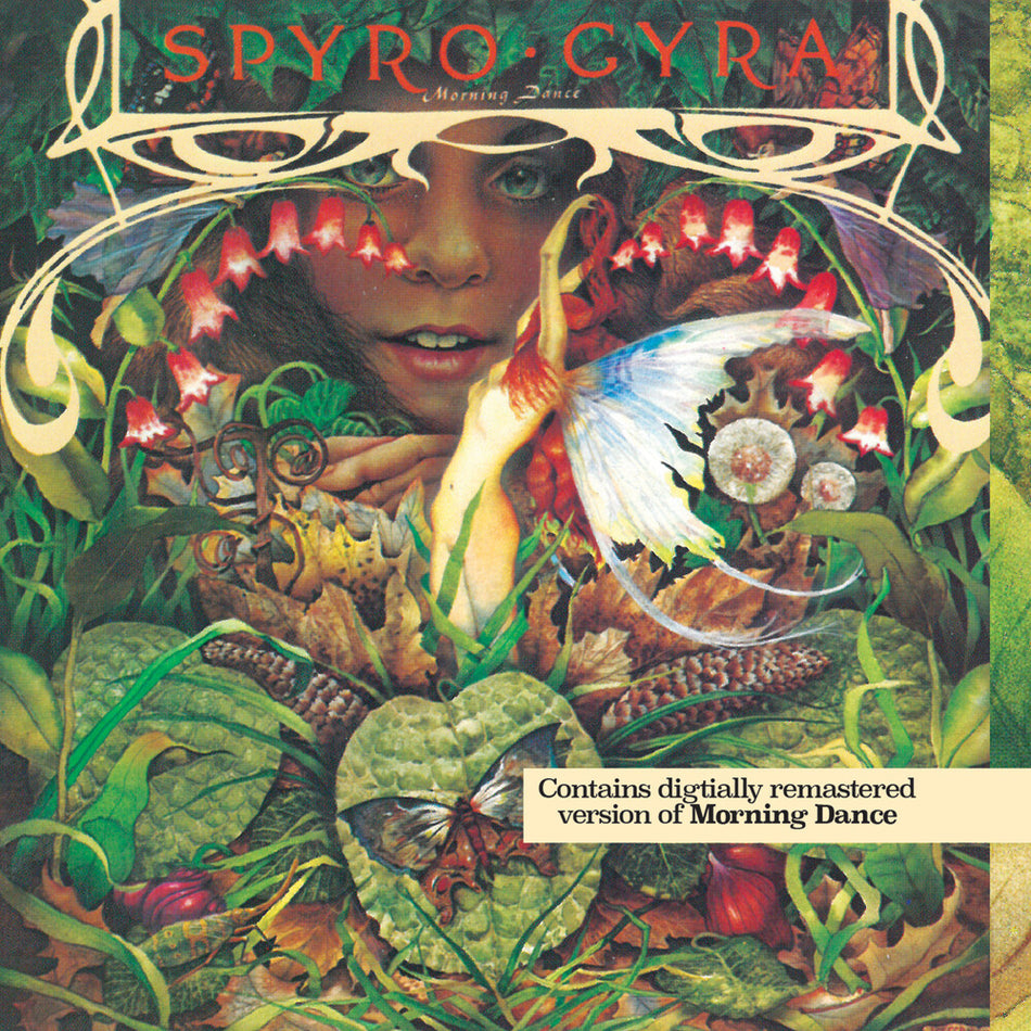 the album cover for Spyro Gyra - Morning Dance