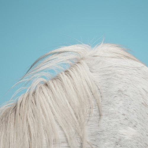 the album cover for Widowspeak - All Yours [Vinyl]