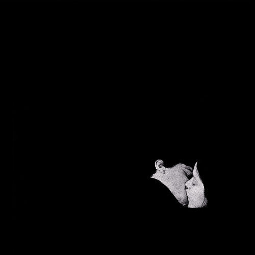the album cover for Bob Moses - Days Gone By [LP]