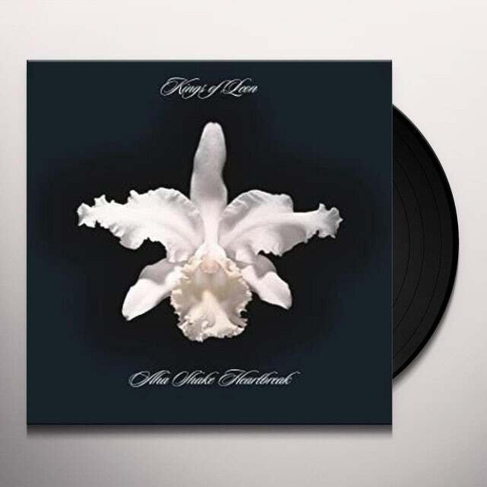 the album cover for Kings Of Leon - Aha Shake Heartbreak (Mpdl) (Uk)