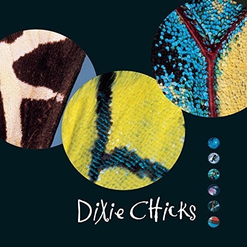 The Chicks - Fly LP (2 Discs)