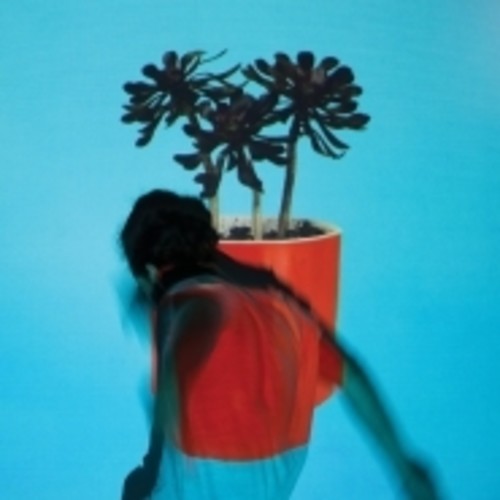 Local Natives - Sunlit Youth LP
