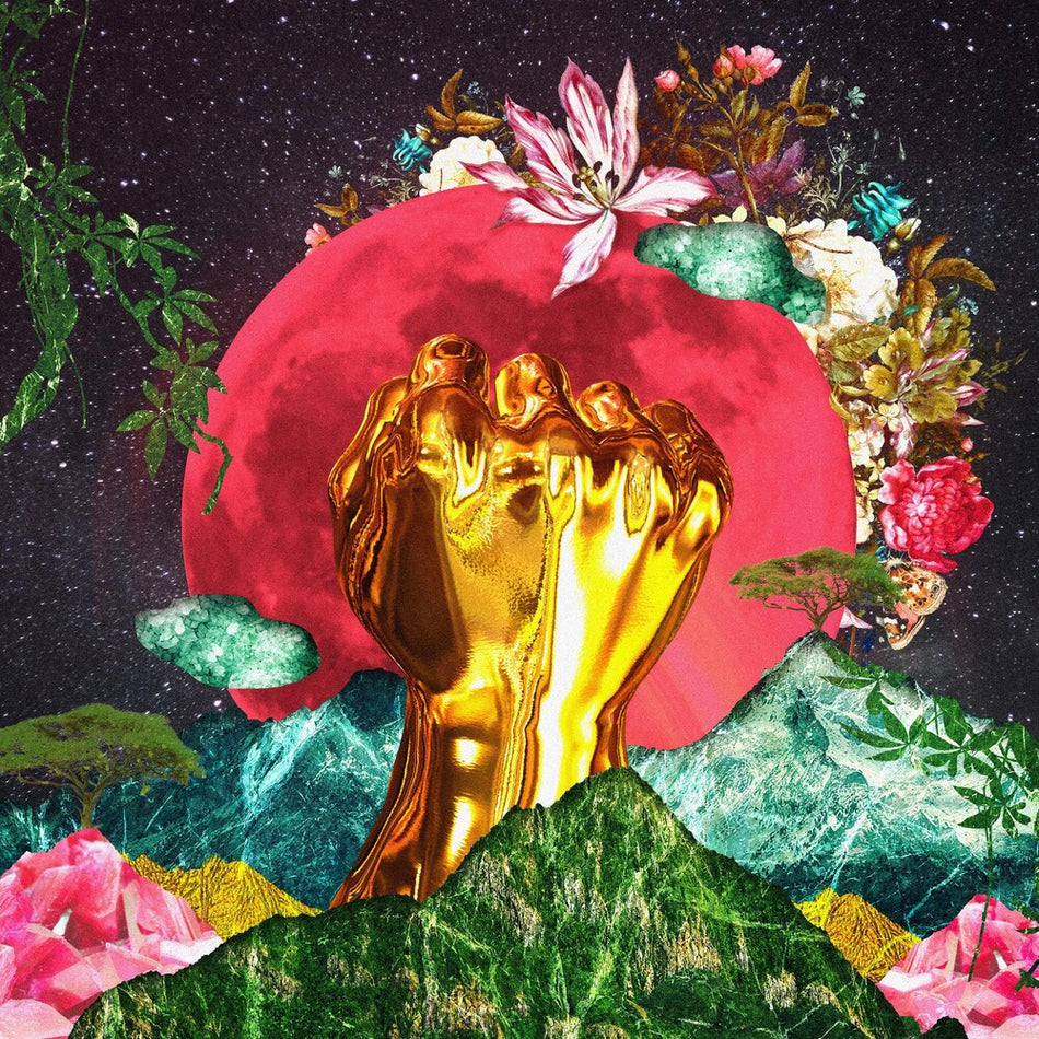 the album cover for Rina Mushonga - In A Galaxy [LP]