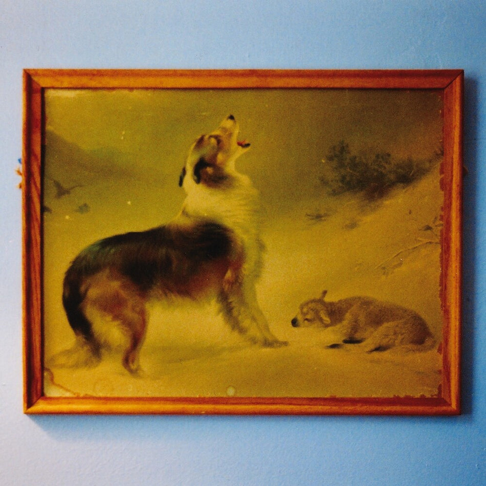 the album cover for Explosions In The Sky - Rescue (Org)