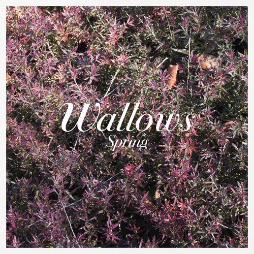 Wallows - Spring [EP] LP (Pink and Green Vinyl)