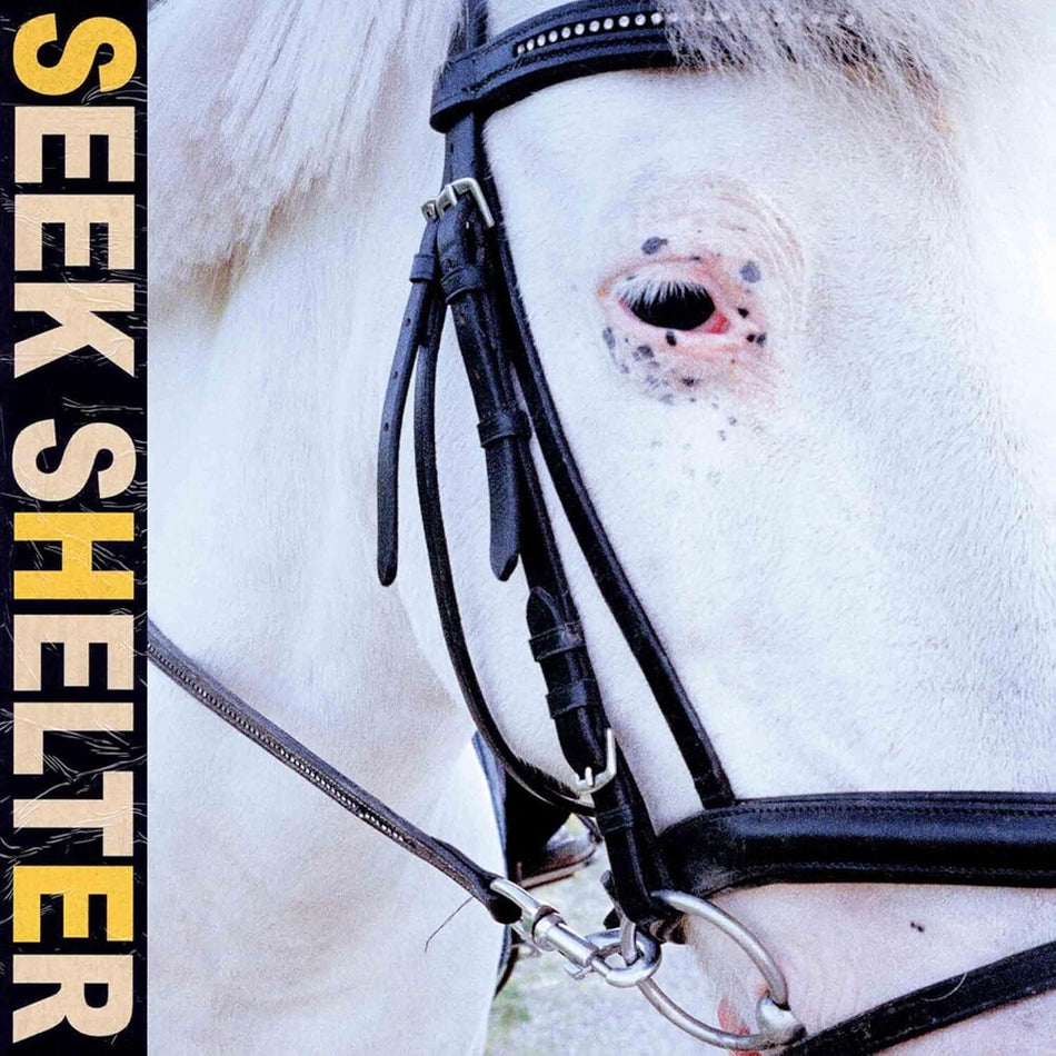 the album cover for Iceage - Seek Shelter [LP]