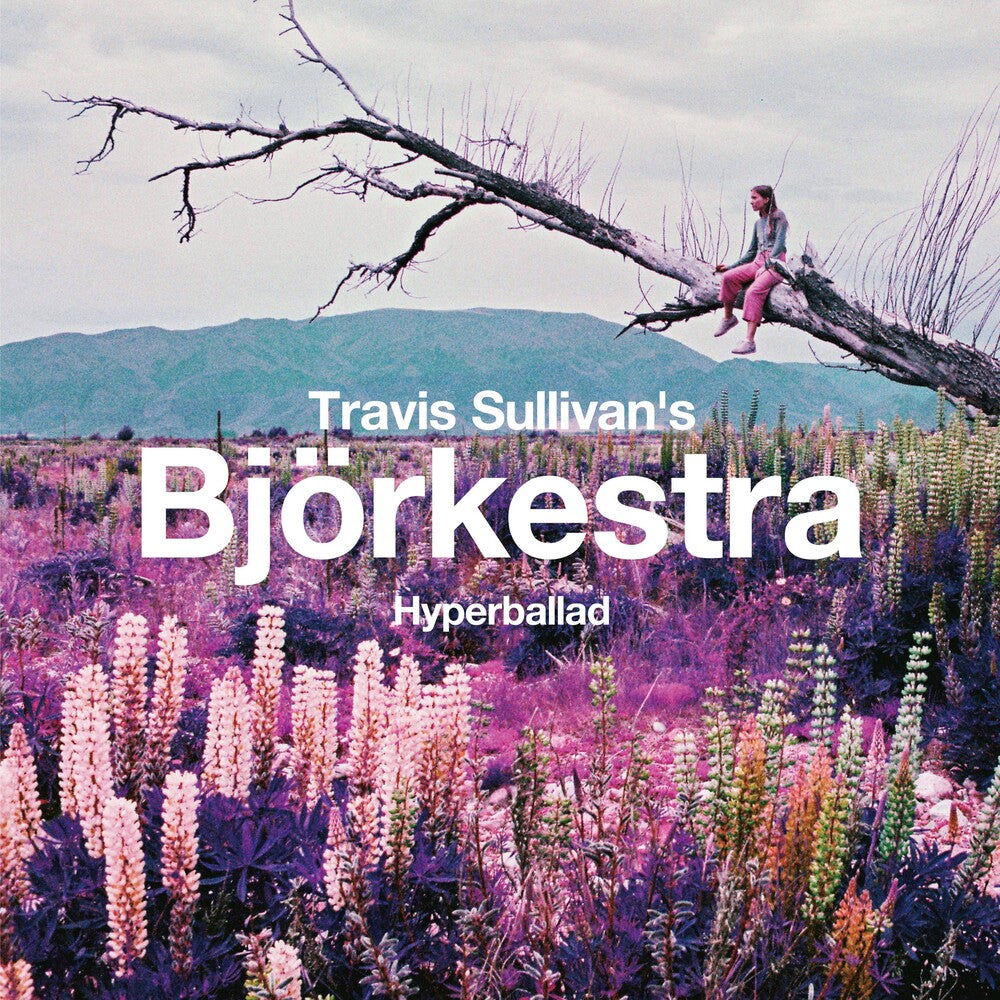 the album cover for Travis Sullivan's Björkestra - Hyperballad / Venus As A Boy