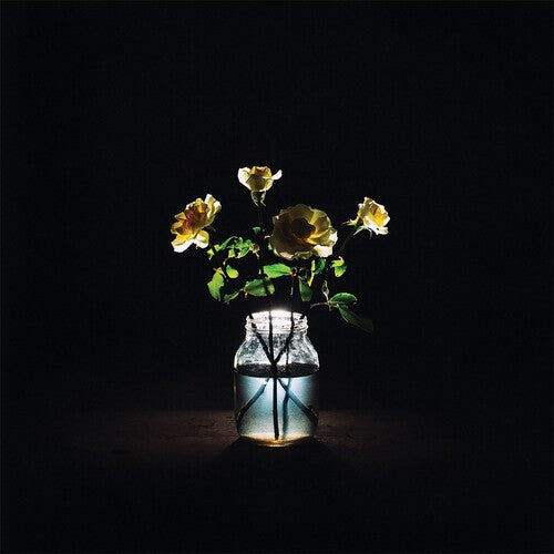 Billy Strings - Renewal LP (2-Disc 180-Gram Vinyl)