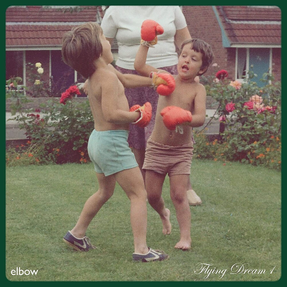 the album cover for Elbow - Flying Dream 1 [Black LP]