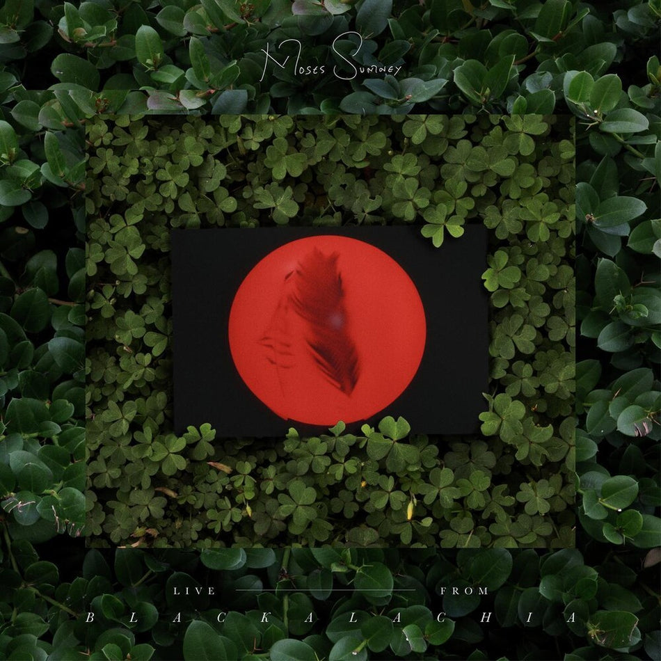 the album cover for Moses Sumney - Live From Blackalachia [Limited Edition Clear Green 2LP]