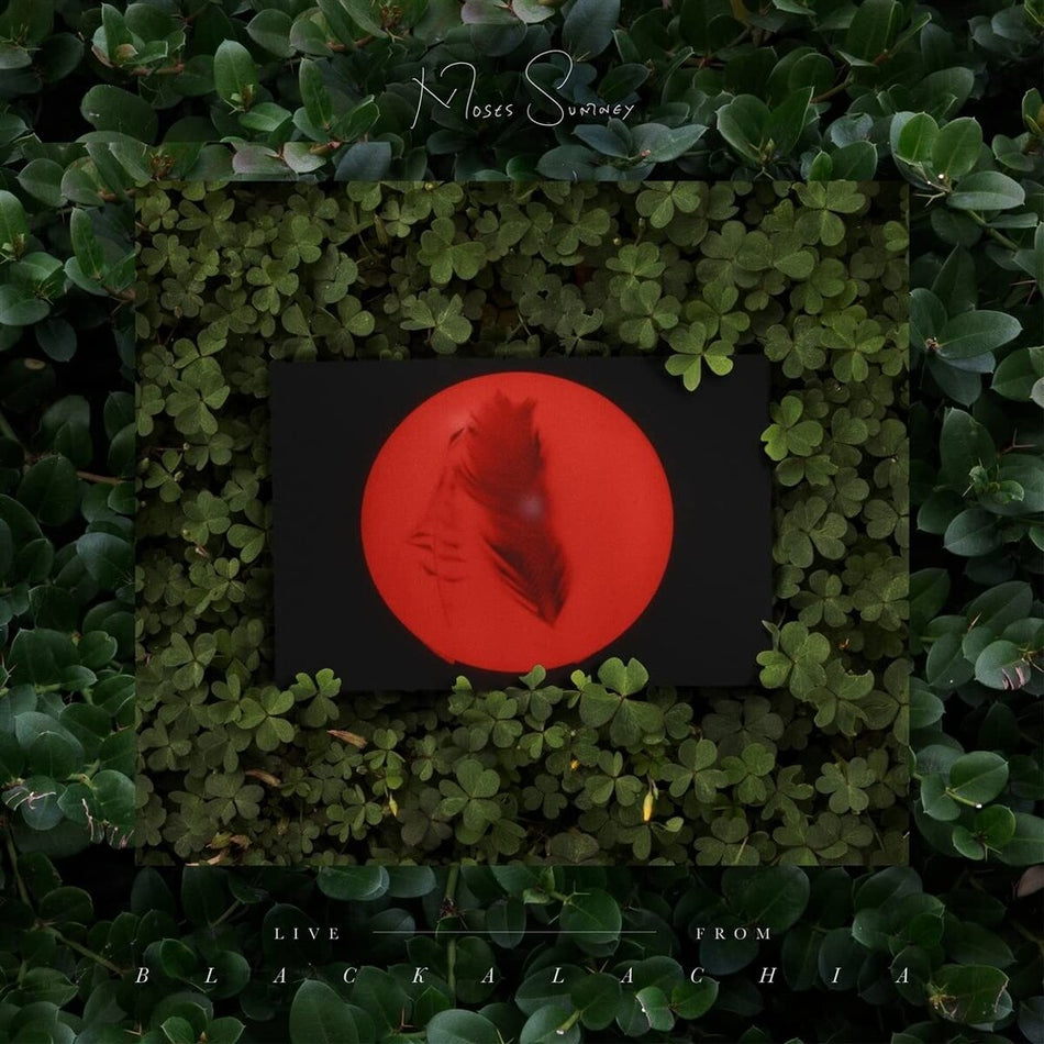 the album cover for Moses Sumney - Live From Blackalachia [2LP]