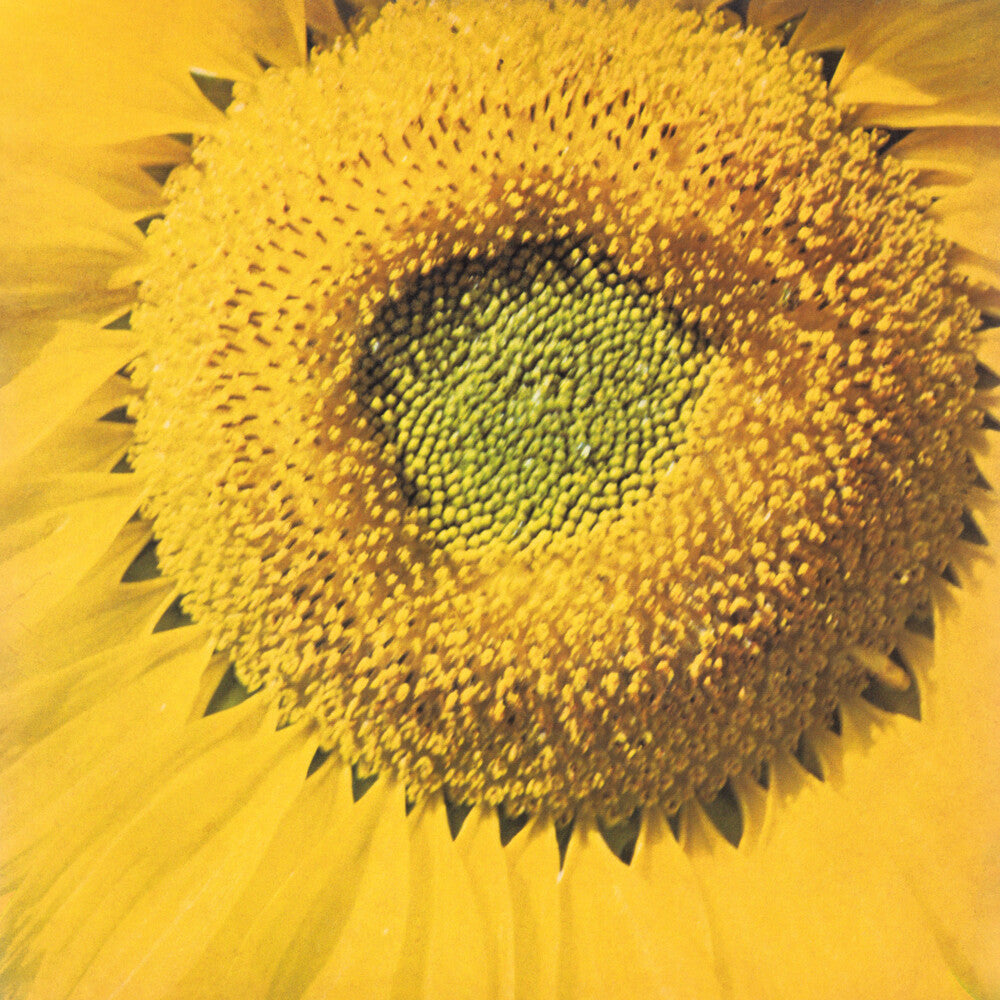the album cover for Marvos Valle - Girassol
