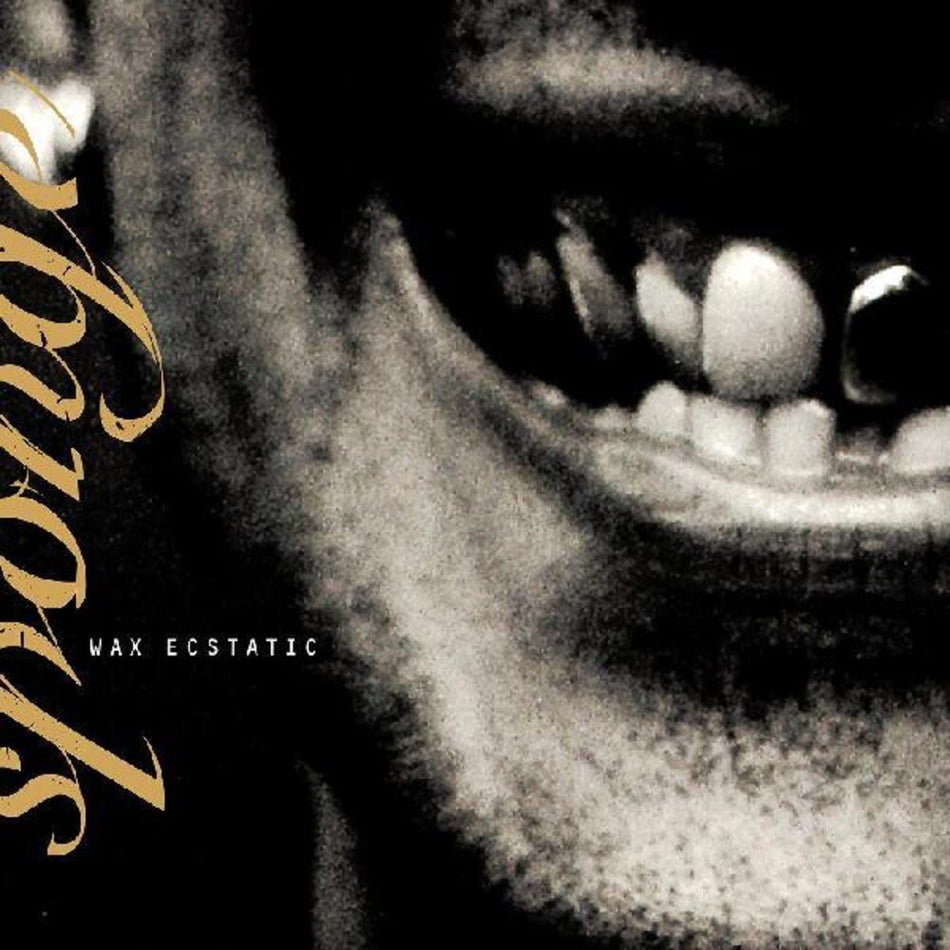 the album cover for Sponge - Wax Ecstatic