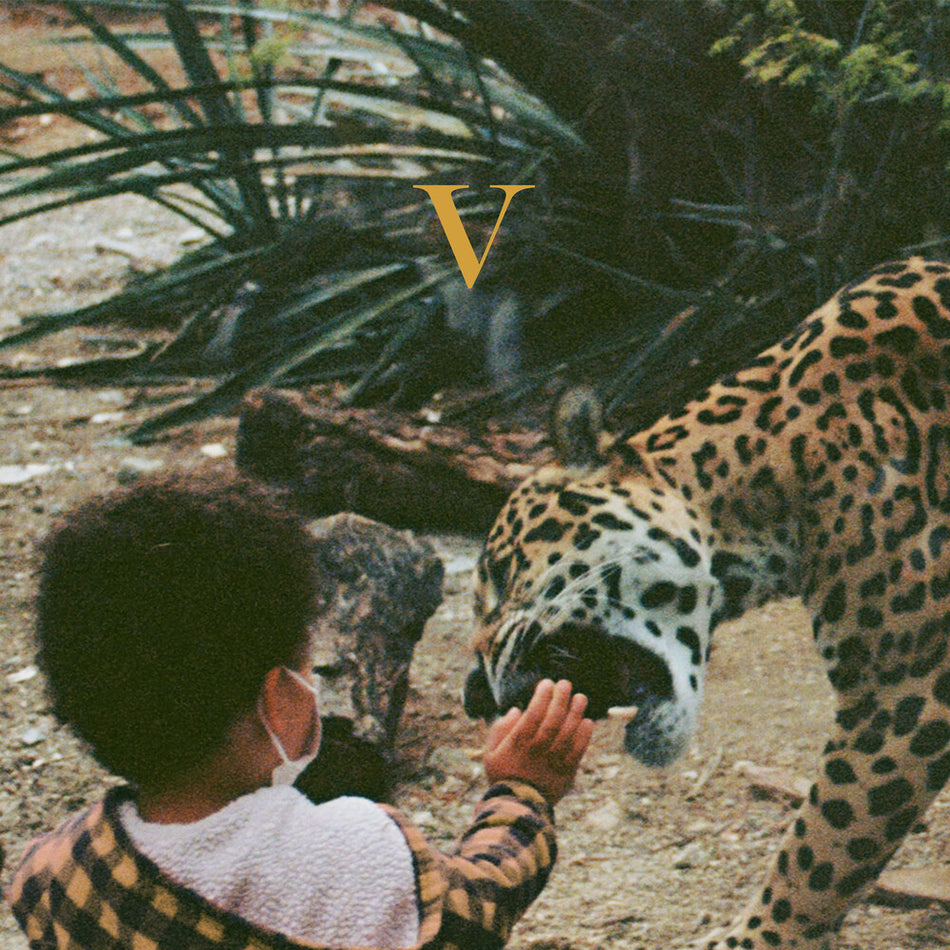 the album cover for Unknown Mortal Orchestra - V [2LP]