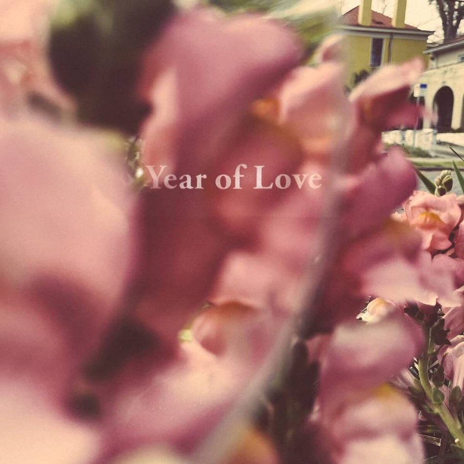 the album cover for Beta Radio - Year Of Love [LP]