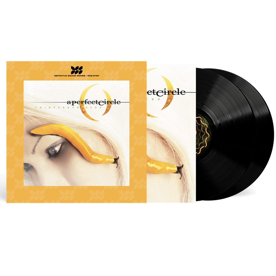 the album cover for A Perfect Circle - Thirteenth Step [Definitive Sound Series 180g]