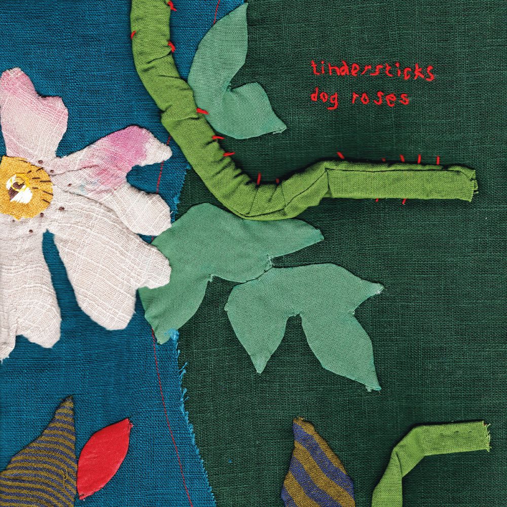 the album cover for Tindersticks - Dog Rose