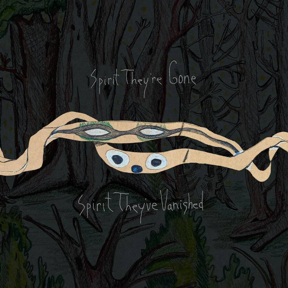 the album cover for Animal Collective - Spirit They're Gone, Spirit They've Vanished: Remastered 2023 [2LP]