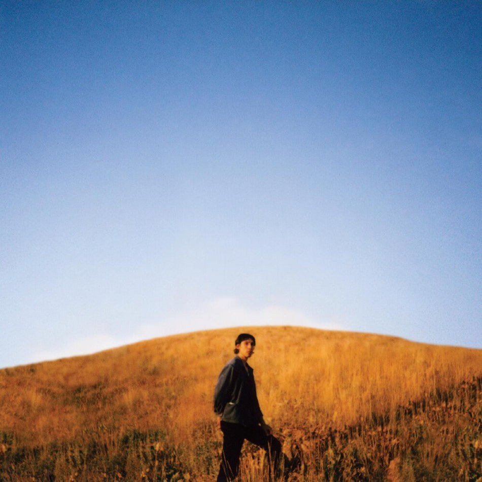 the album cover for Sam Burton - Dear Departed [LP]