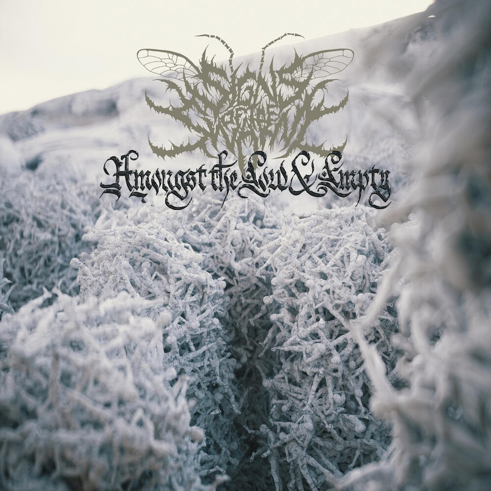 the album cover for Signs of the Swarm - Amongst The Low & Empty