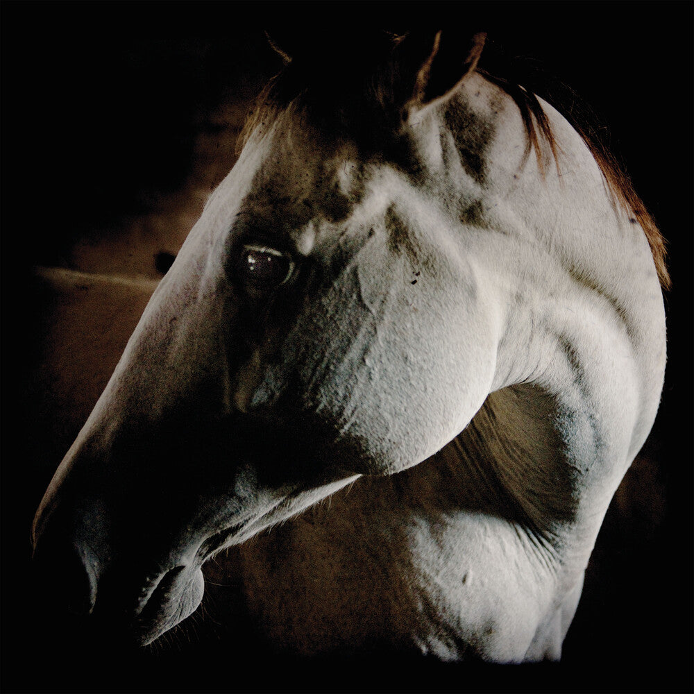 the album cover for Brother Dege - How To Kill A Horse [Digipak]
