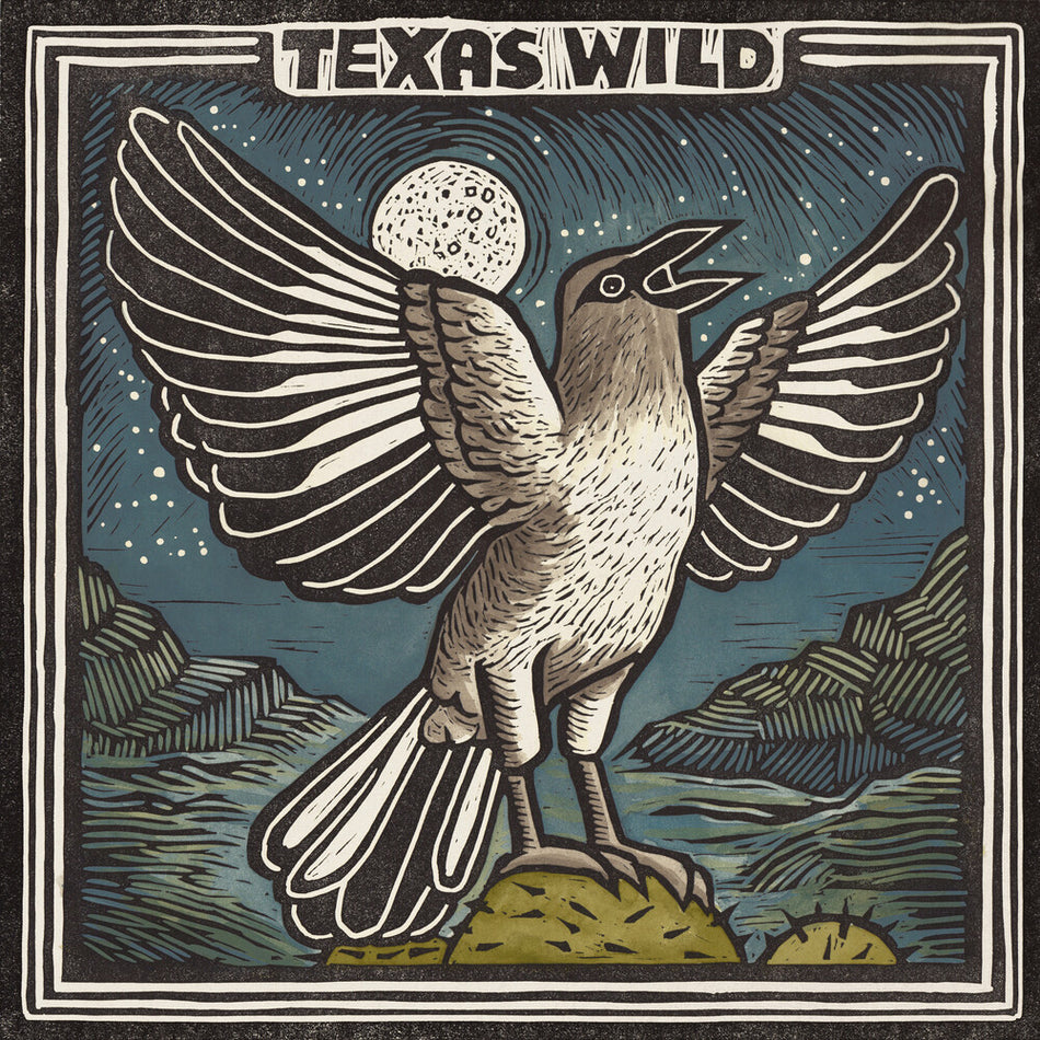 the album cover for Texas Wild / Various - Texas Wild / Various
