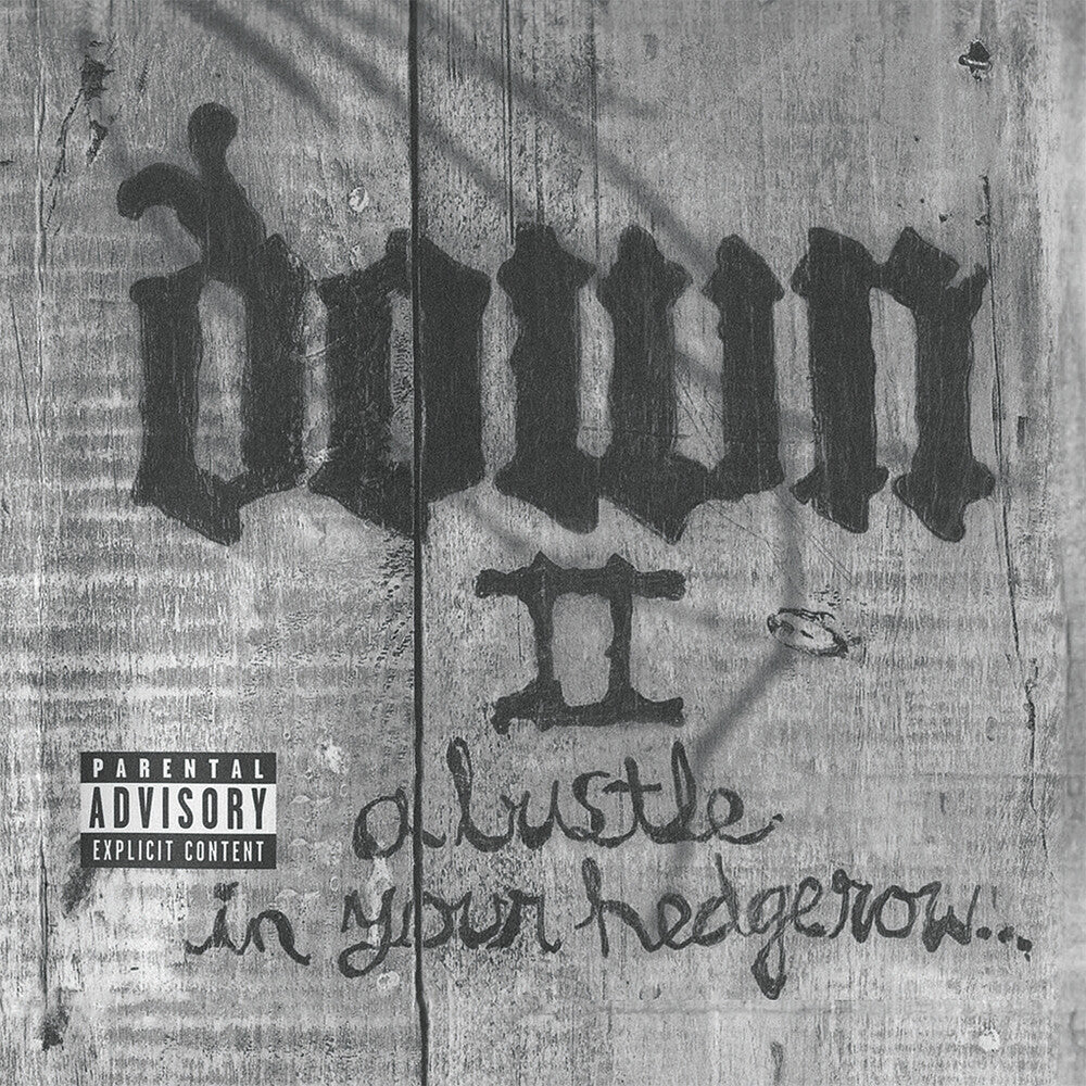 the album cover for Down - Down Ii (Hol)