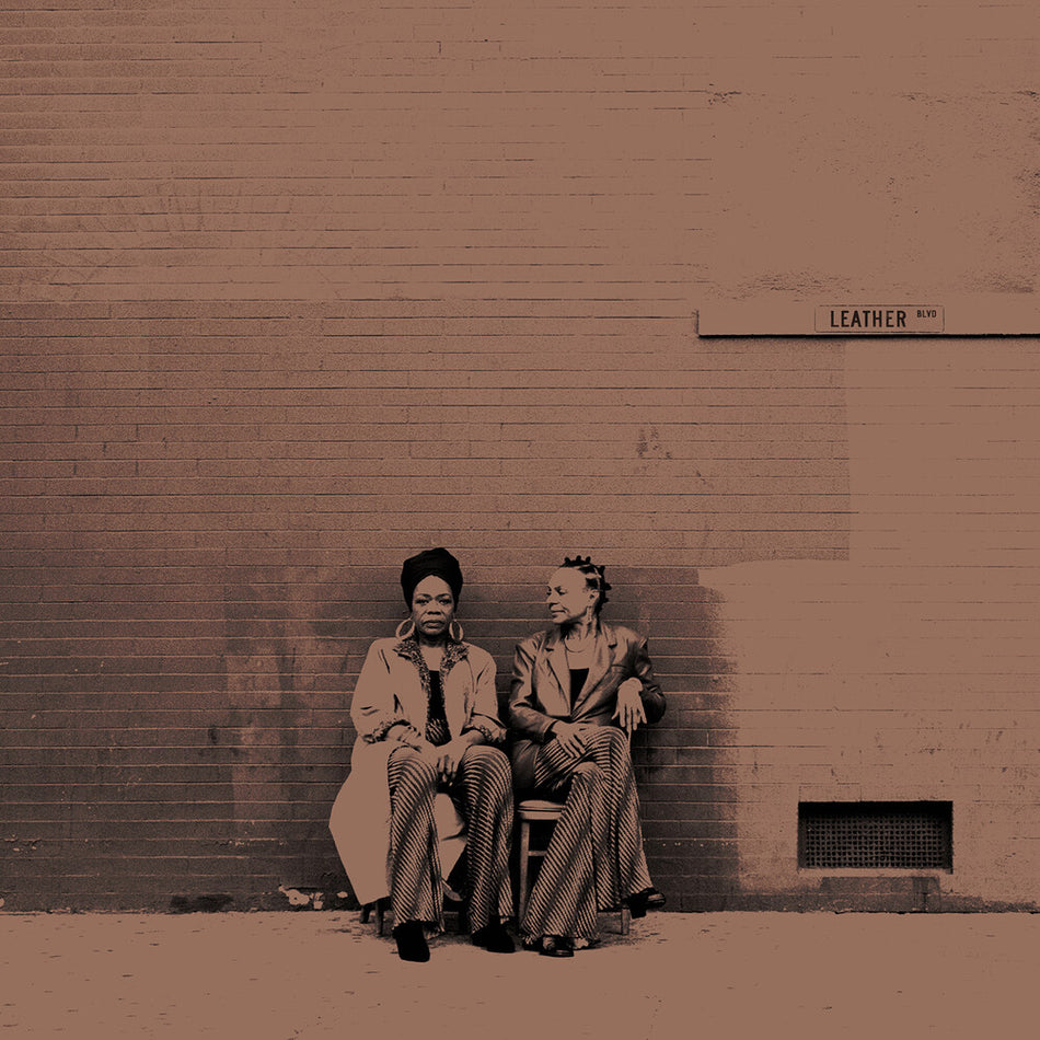 the album cover for B. Cool-Aid - Leather Blvd. (Brwn) [Colored Vinyl] (Gate) [180 Gram]