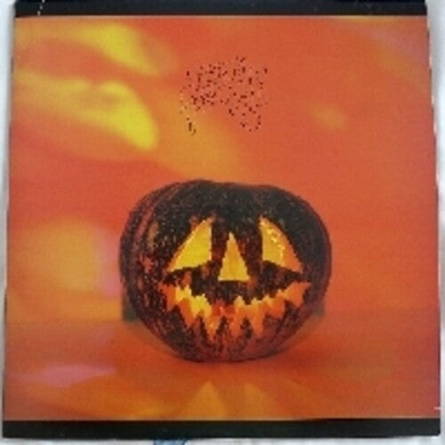 Sonic Youth - Walls Have Ears LP (2 Disc Silver Vinyl)