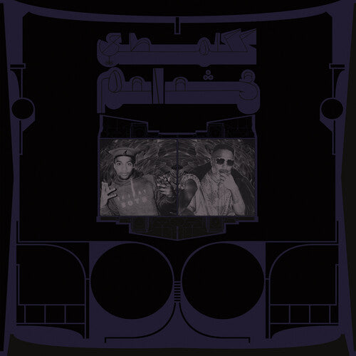 Shabazz Palaces - Exotic Birds of Prey LP (White Vinyl)