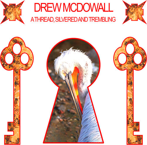 Drew Mcdowell - A Thread, Silvered And Trembling (LP)