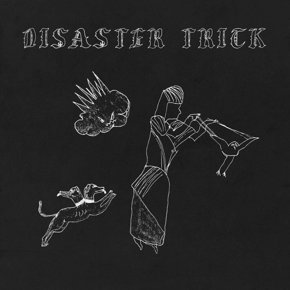 the album cover for Horse Jumper Of Love - Disaster Trick