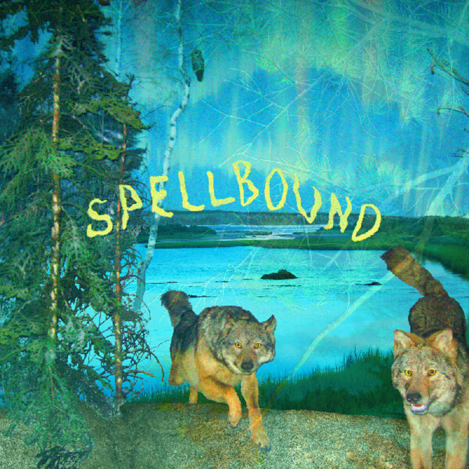 the album cover for Boyscott - Spellbound [Colored Vinyl] (Grn) (Stic) (Ylw) [Download Included]