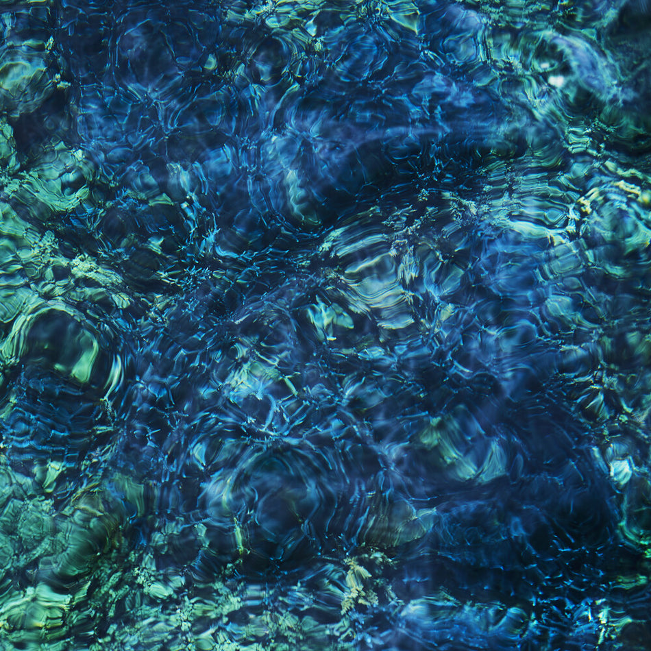 the album cover for  Ichiko Aoba - Luminescent Creatures
