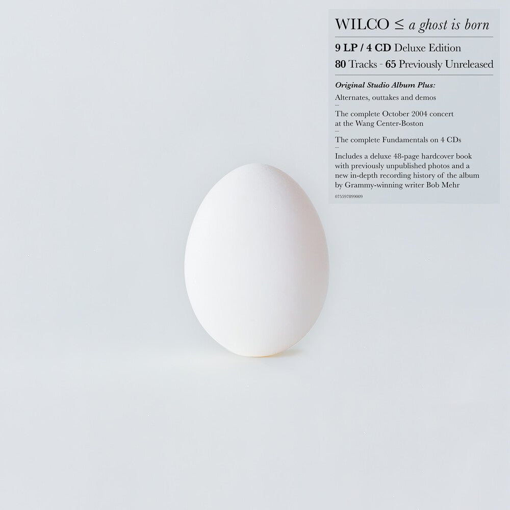 the album cover for Wilco - A Ghost Is Born (Deluxe Edition) -  [9LP/4CD BOX SET]