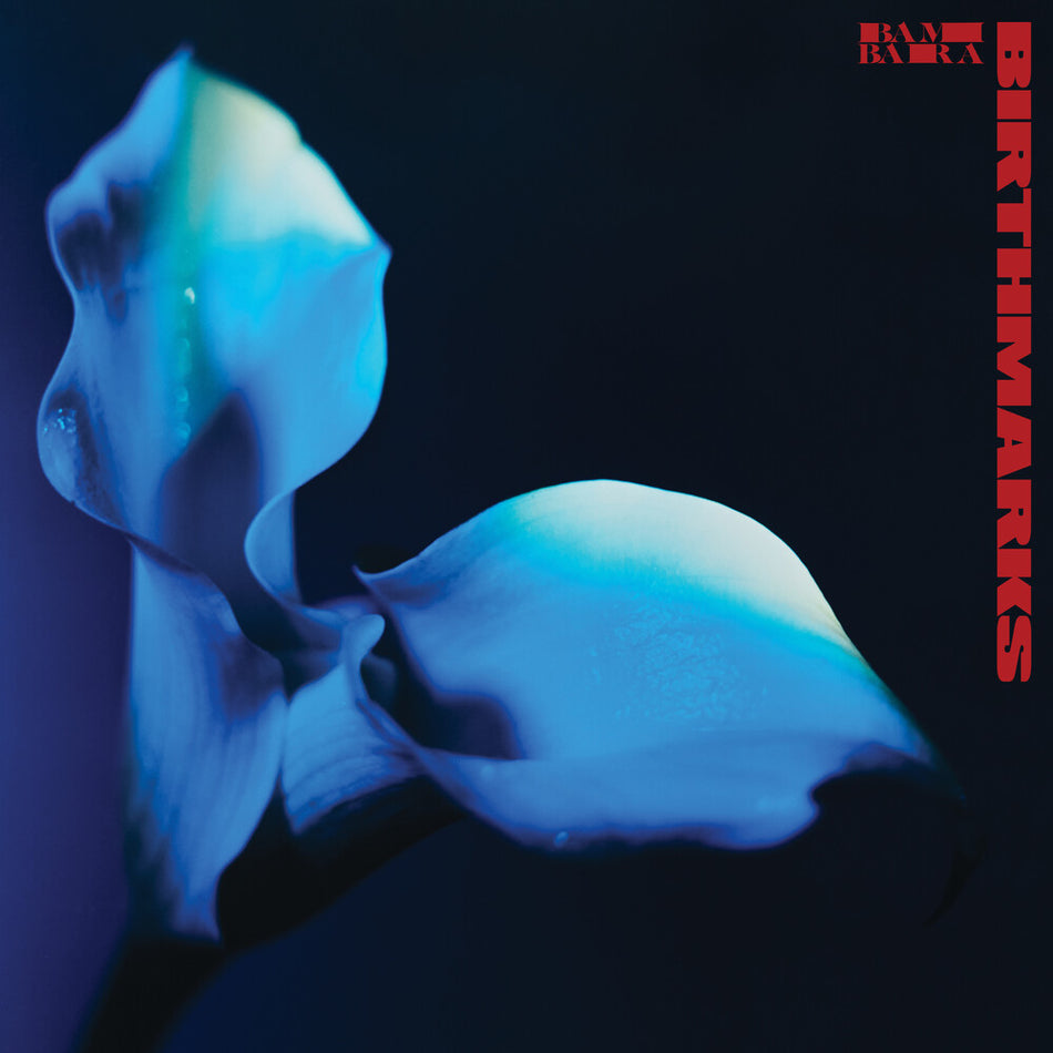 the album cover for Bambara - Birthmarks [Clear Vinyl]