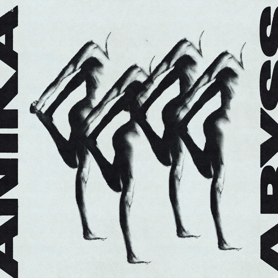 the album cover for Anika - Abyss