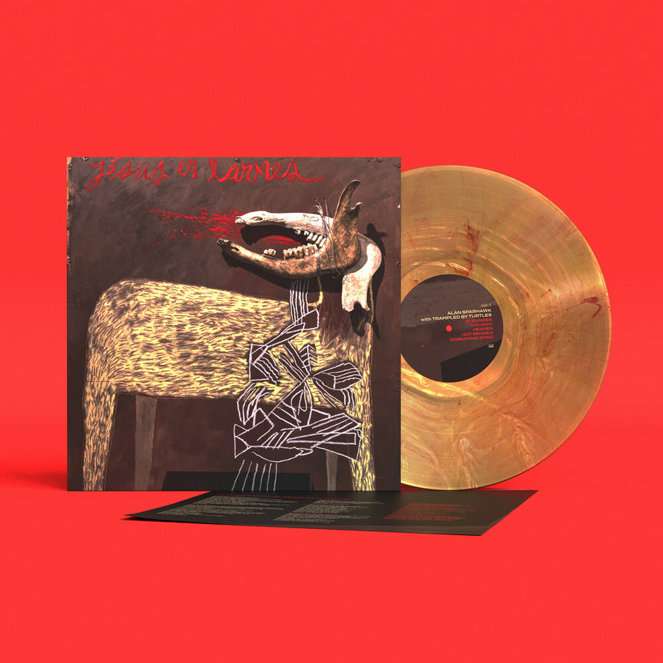 the album cover for Alan Sparhawk - With Trampled By Turtles - Sunflare [Colored Vinyl]
