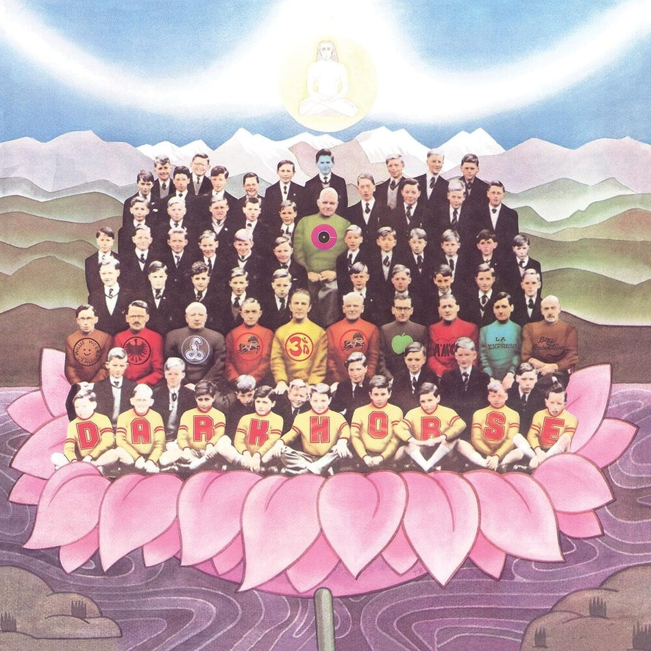 the album cover for George Harrison - Dark Horse (Wal) (Eco)