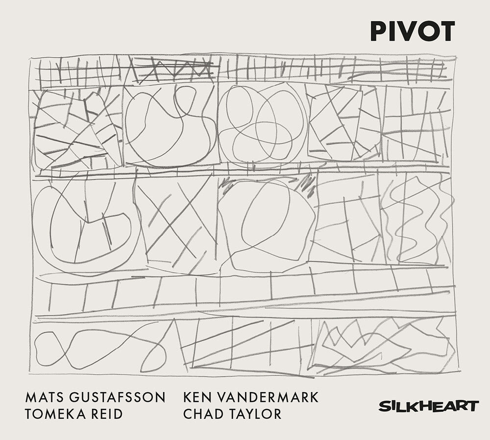 the album cover for Gustafsson, Mats / Vandermark, Ken / Reid, Tomeka - Pivot
