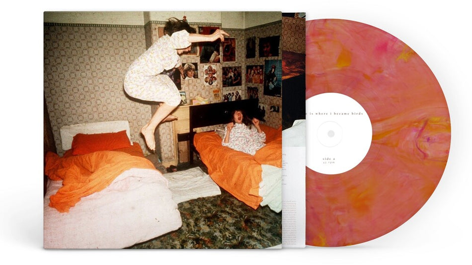 the album cover for Home Is Where - I Became Birds [Colored Vinyl] (Org)