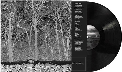 Pile - Sunshine and Balance Beams LP