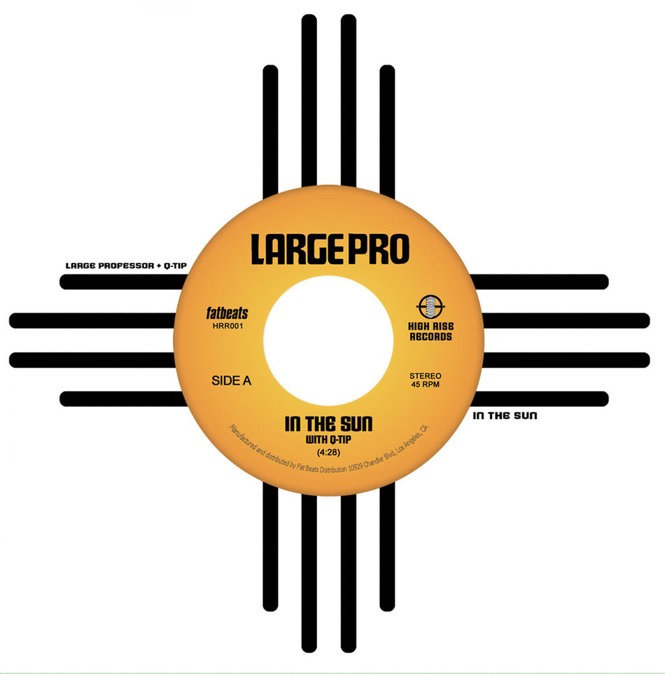 the album cover for Large Professor - In the Sun