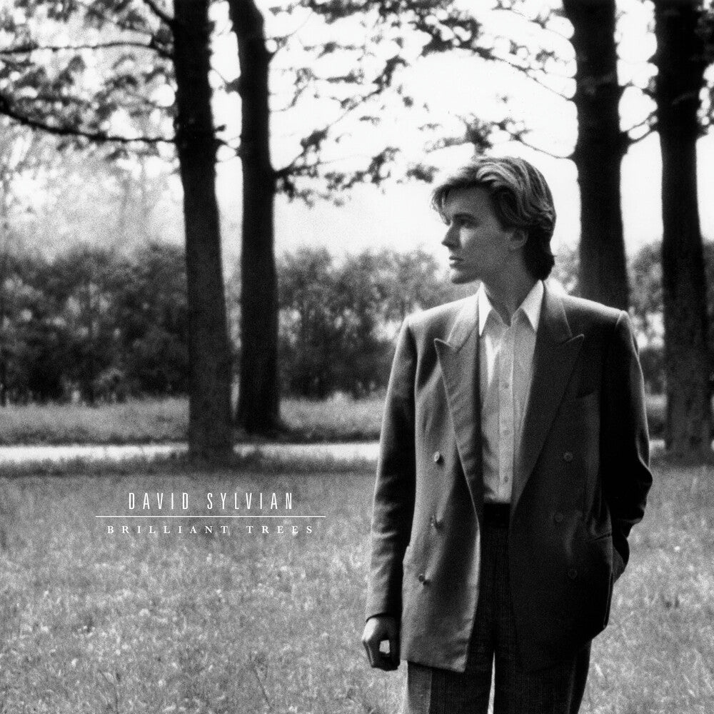 the album cover for David Sylvian - Brilliant Trees - Olive Opaque Black [Colored Vinyl]